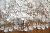Blossom Coutre gown - New Collection. Comes with headband and shoes